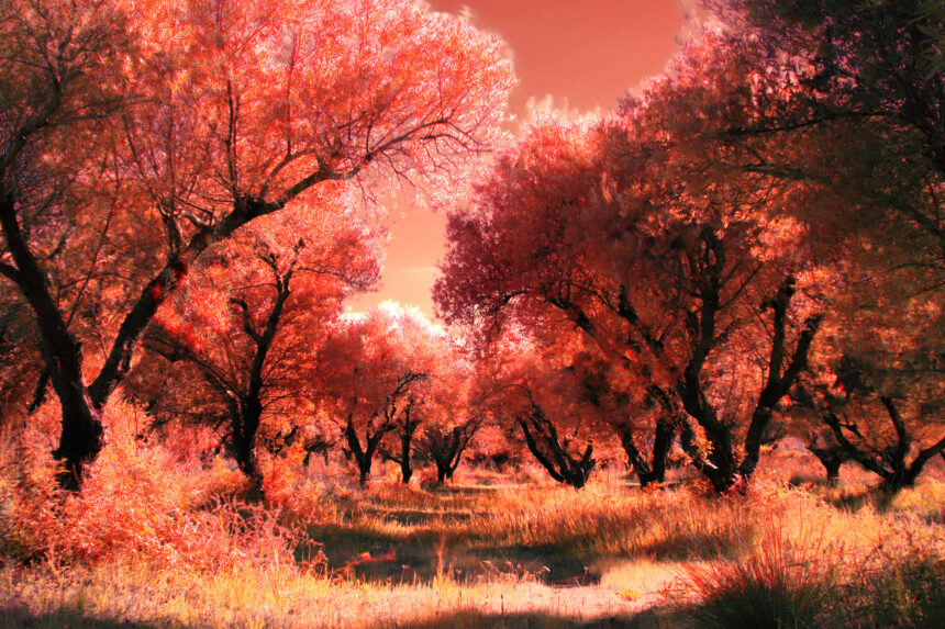 Φίλιππος Μανωλάτος | THE UNSEEN – Έκθεση φωτογραφίας