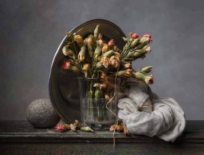 Οι νεκρές φύσεις του Christopher Broadbent