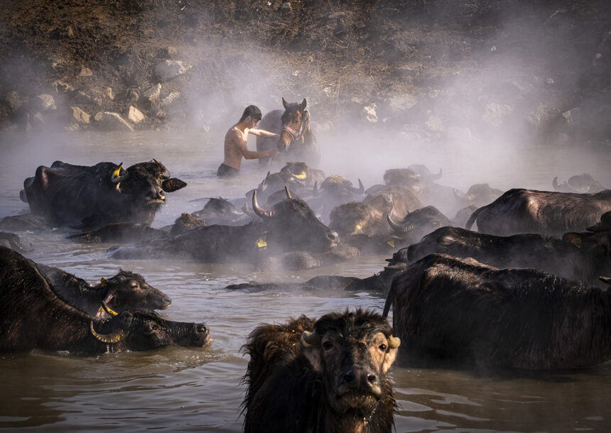 Witnesses of the Earth | Διεθνής Έκθεση φωτογραφίας στην Blank Wall Gallery