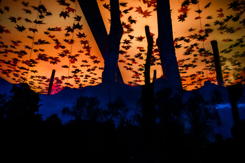 Η Βένια Τσαρτσάλη επιλέγει …