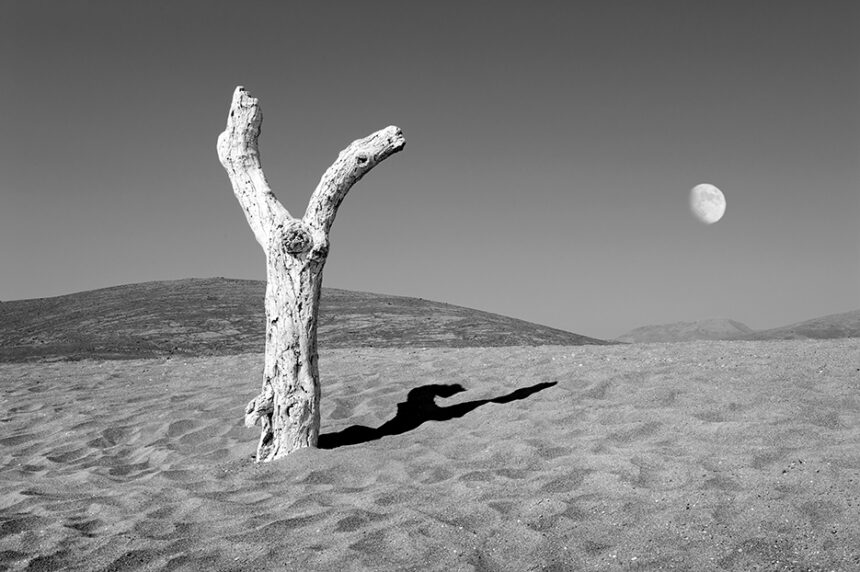 Δημήτρης Γέρος