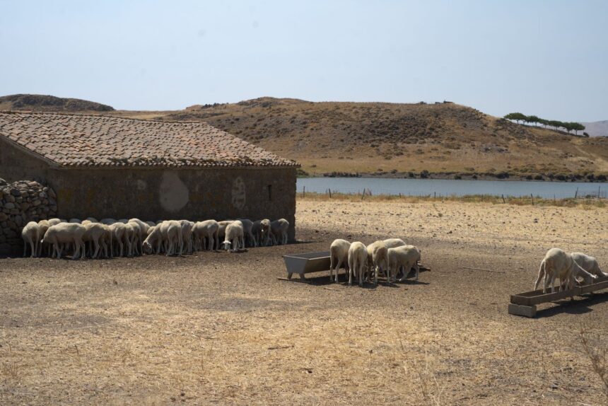 Δικός μου και ο Αύγουστος με τις μεγάλες μνήμες (ΙΙΙ)