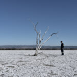 Η Δώρα Τσιτσικλή επιλέγει ...