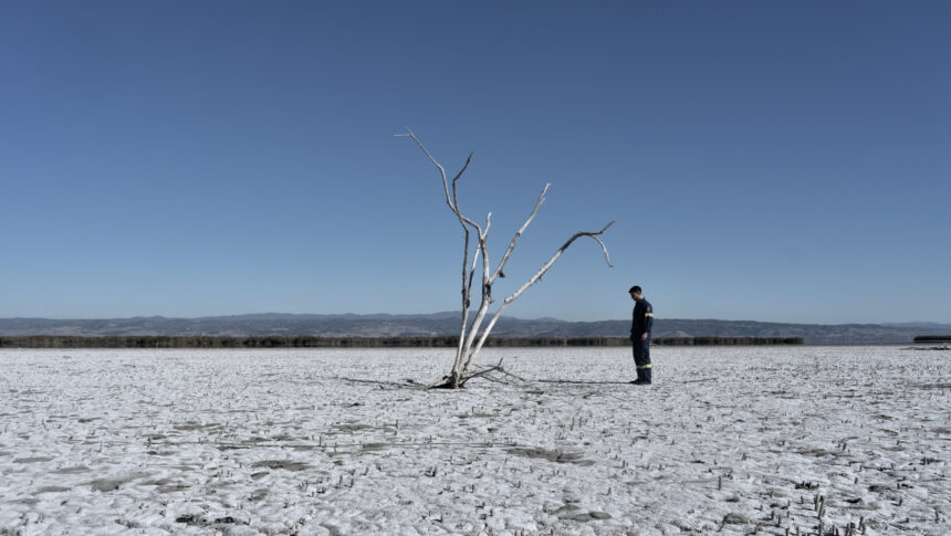 Η Δώρα Τσιτσικλή επιλέγει …