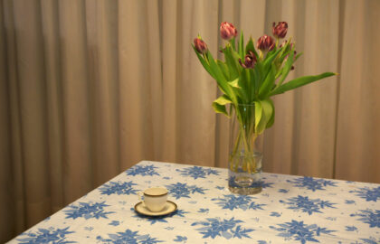 Νέλλη Κρητικοπούλου – Αγία Καθημερινότητα