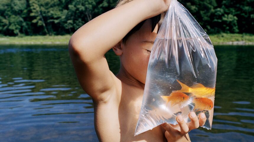 Amy Stein – Η σχέση του ανθρώπου με το περιβάλλον