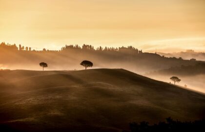 Blank Wall Gallery | Έκθεση Φωτογραφίας GuruShots
