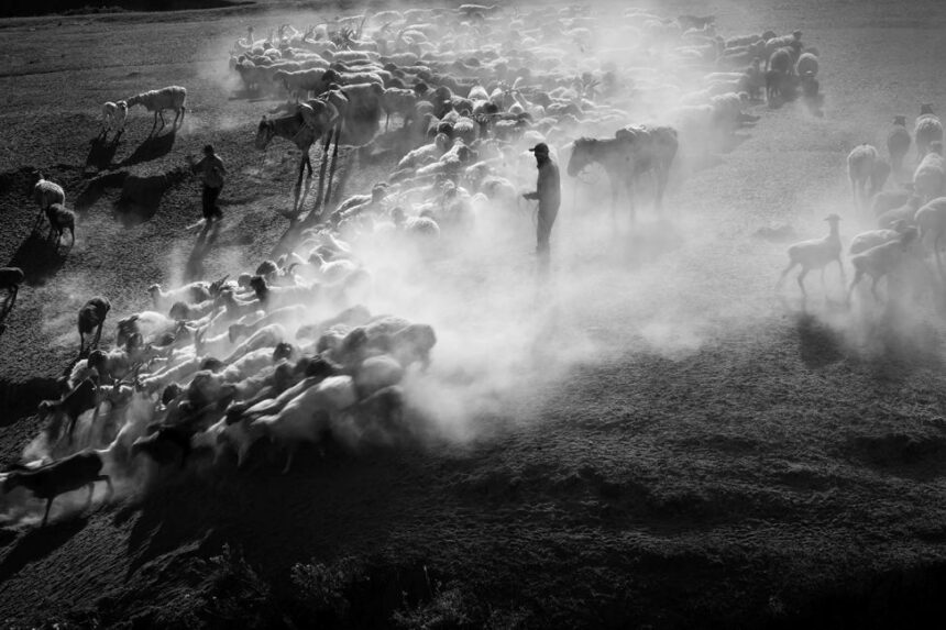 4ο B&W Athens Photography