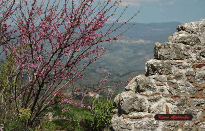 Φωτοερευνητές | πρόσκληση για φωτοεξόρμηση στον Πάρνωνα και Μυστρά