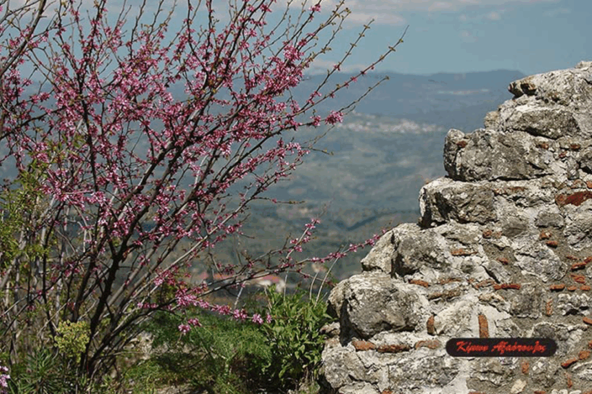 Φωτοερευνητές | πρόσκληση για φωτοεξόρμηση στον Πάρνωνα και Μυστρά