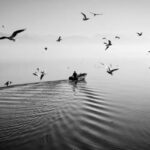 Ο Γιώργος Κίτσος επιλέγει ...