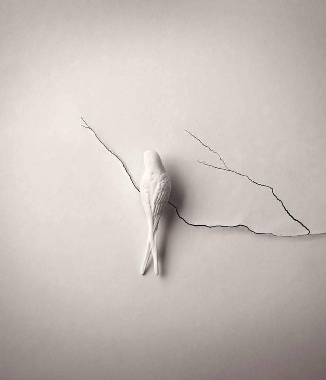 Ο Άγιος Φεβρουάριος κι εγώ (ΙΙ)