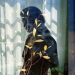 1 διά 2 – Φωτογραφική διαλεκτική: Γιάννης Γιαννακόπουλος - Υπατία Κορνάρου