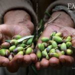 Ελ–αιώνες | Φωτογραφικό βιβλίο της Χριστίνας Τζαμάλα