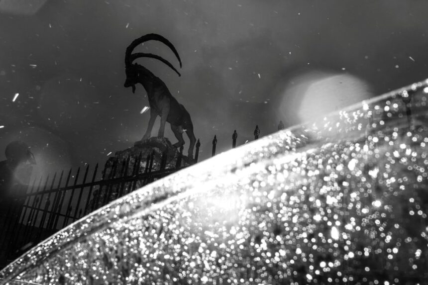 Ο Ευθύμιος Κούστας επιλέγει …