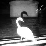 Ο Ευθύμιος Κούστας επιλέγει ...