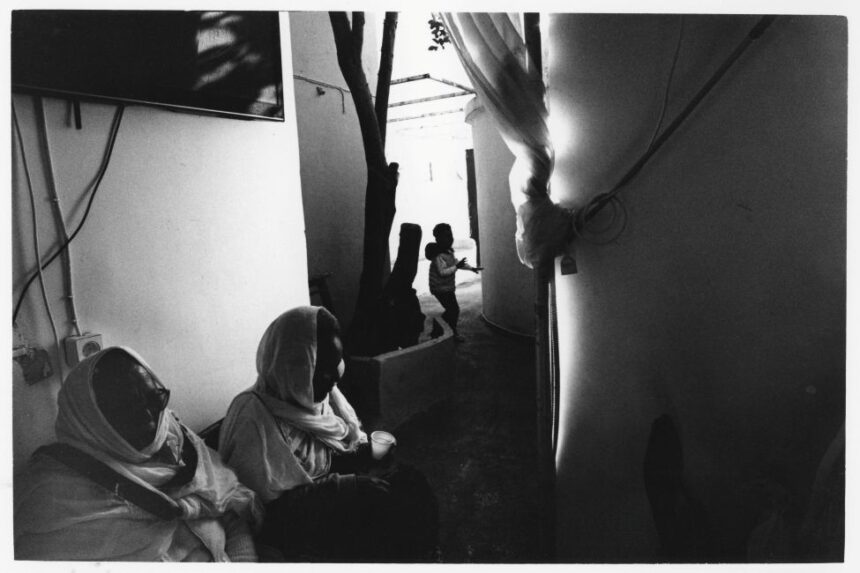 Ο Δημήτρης Βάτσιος επιλέγει …