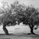 Η Ξένια Μακρή επιλέγει …