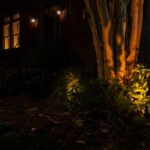 Η Οία Φέτση επιλέγει ...