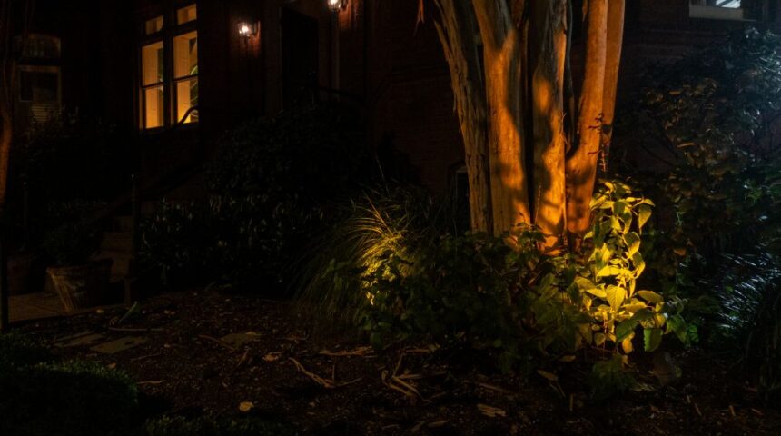 Η Οία Φέτση επιλέγει …