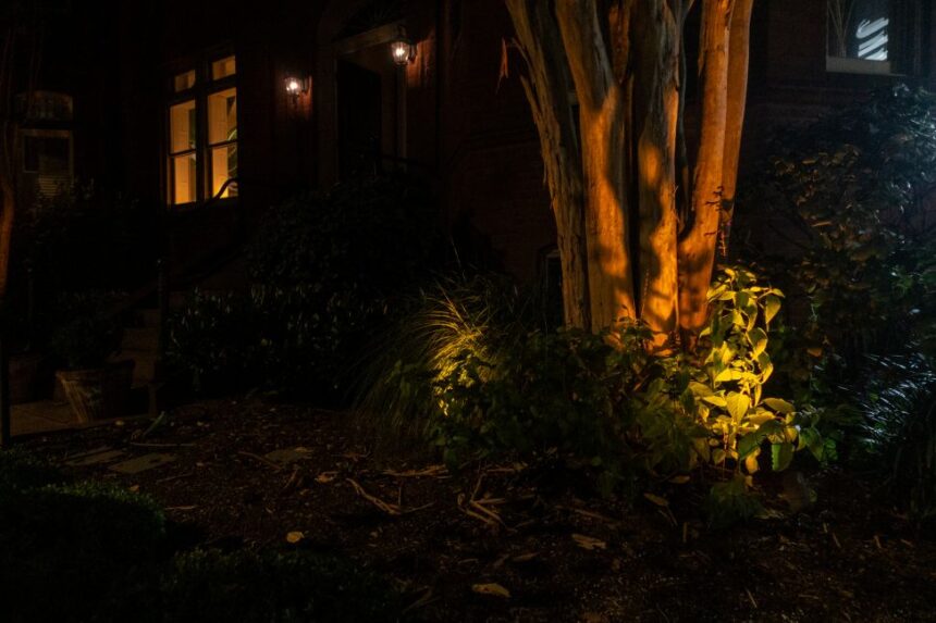 Η Οία Φέτση επιλέγει …