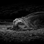 Φωτογραφικό παιχνίδι  με τον Αχιλλέα Νάσιο