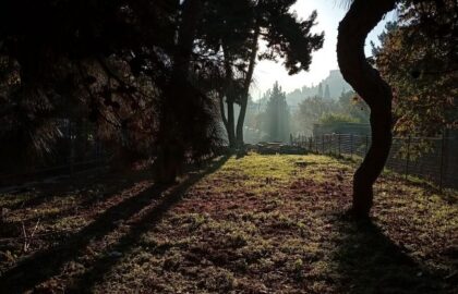 ΕΣΤΙΑ Νέας Σμύρνης | Ομαδική έκθεση φωτογραφίας σε επιμέλεια Αθανασίας Παναγέα