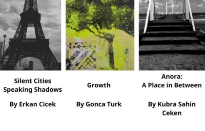 Photometria Photography Center | Ομαδική έκθεση φωτογραφίας των Erkan ÇİÇEK, Gonca TÜRK και Kübra ŞAHİN ÇEKEN