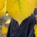 Ήταν του Μάη του πρόσωπο (Ι)