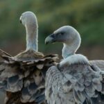 Σώμα του Καλοκαιριού (Ιούνιος ΙΙΙ) Σώμα του Καλοκαιριού (Ιούνιος ΙΙΙ)