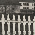 19 Αυγούστου – Παγκόσμια ημέρα φωτογρφίας | Ιουλία Λαδογιάννη / Τάσος Παπαδόπουλος: Από τον πικτοριαλισμό στην “καθαρή φωτογραφία”