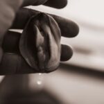 Θυμήσου τον Σεπτέμβρη (ΙV) Θυμήσου τον Σεπτέμβρη (ΙV)