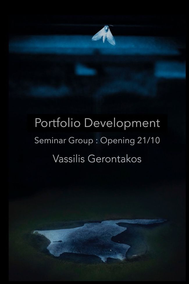 Portfolio development με τον Βασίλη Γεροντάκο