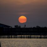 Ζαχαρούλα Καλομινίδου