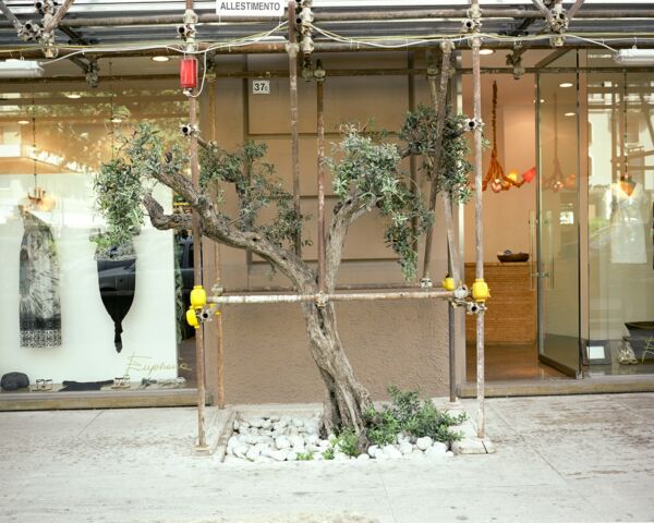 Allestimento Georges Salameh