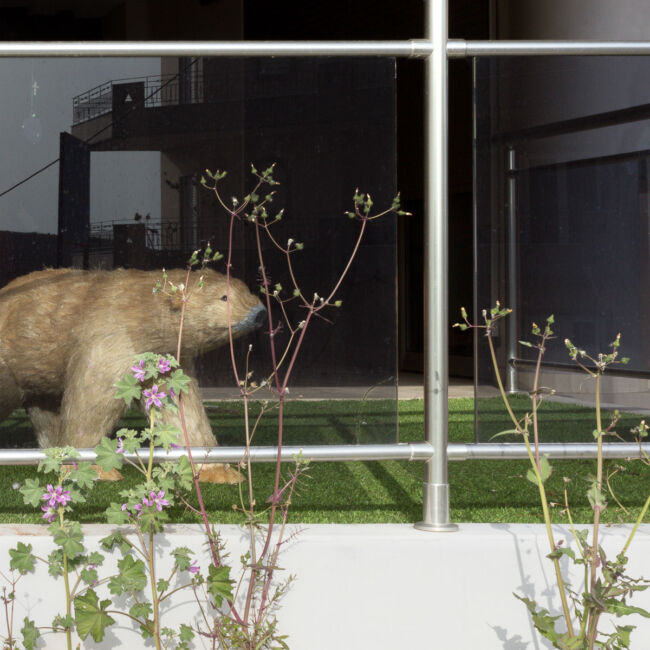 Ilias Lois - Aisle Seat Ilias Lois - Aisle Seat