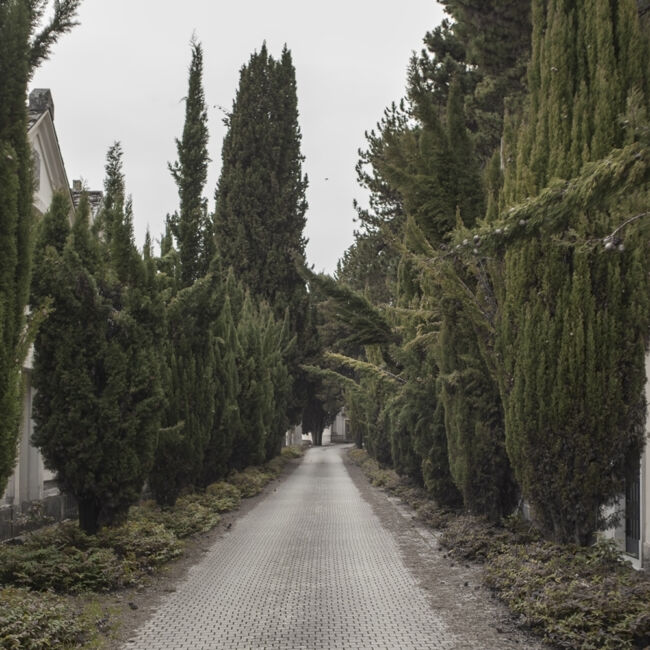 Stefania Orfanidou - Pendulum Stefania Orfanidou - Pendulum