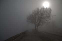 Λώλος Μπάμπης