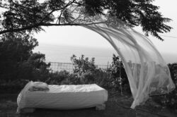 Αντωνοπούλου Ξένια