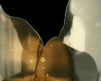 Οι Άλλοι Γιοι και Θυγατέρες