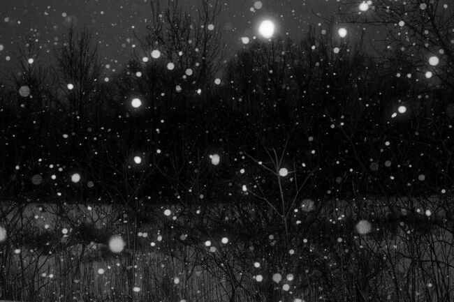 Debmalya Ray Choudhurι - Fragments of the Dying Man