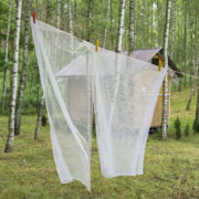 Αντιγόνη Μεταξάκη