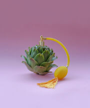 Σοφία Γκααφάρ