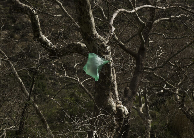 Maria Karkanaki - Utopian Luster