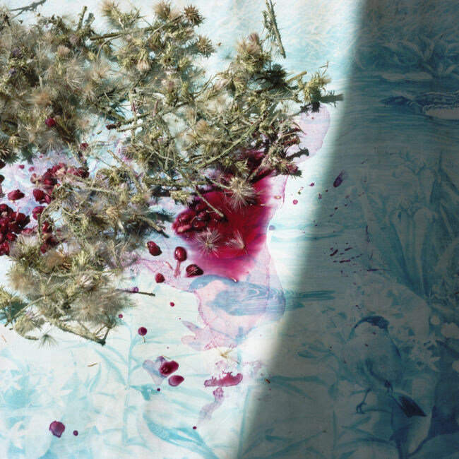 ioanna sakellaraki - the truth is in the soil