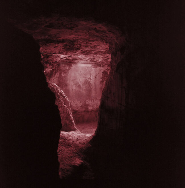 ioanna sakellaraki - the truth is in the soil