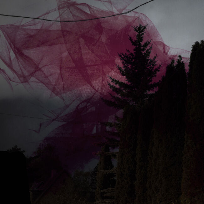 ioanna sakellaraki - the truth is in the soil