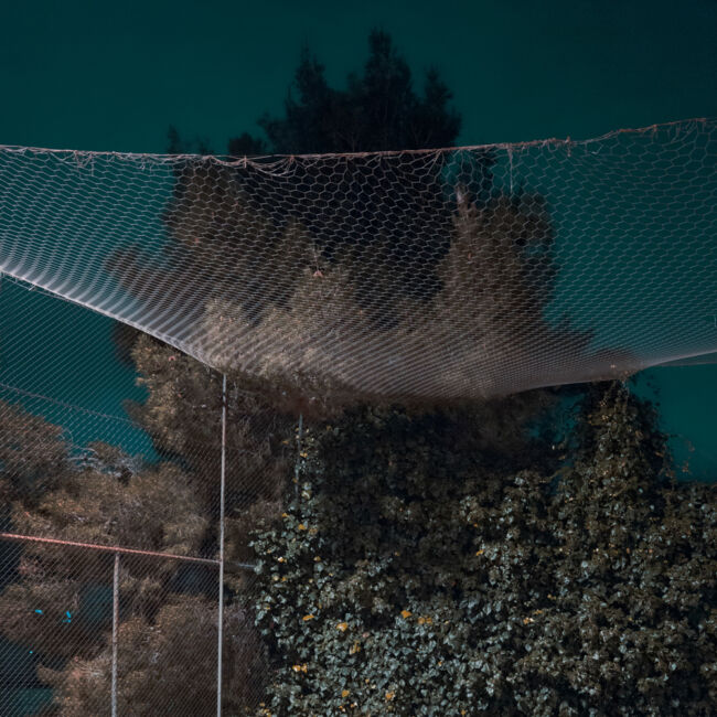 ioanna sakellaraki - the truth is in the soil