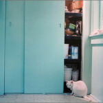 Philip Lorca DiCorsia