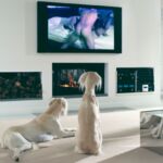 Philip Lorca DiCorsia